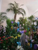 Zdjęcia z wycieczki TMO